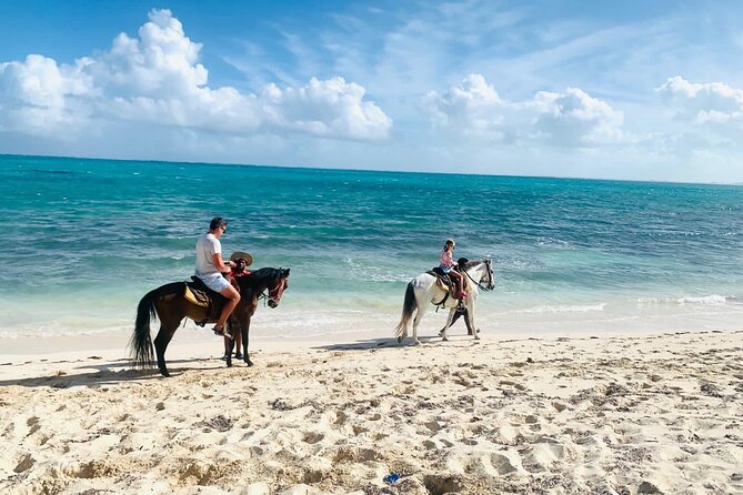 60-Minute Private Horseback Riding Experience in Turks and Caicos - Price and value: what $300 per person buys you