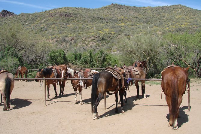 A Day In The Old West Adventure including Horseback Ride and Cowboy Lunch - Price and What You’re Really Paying For