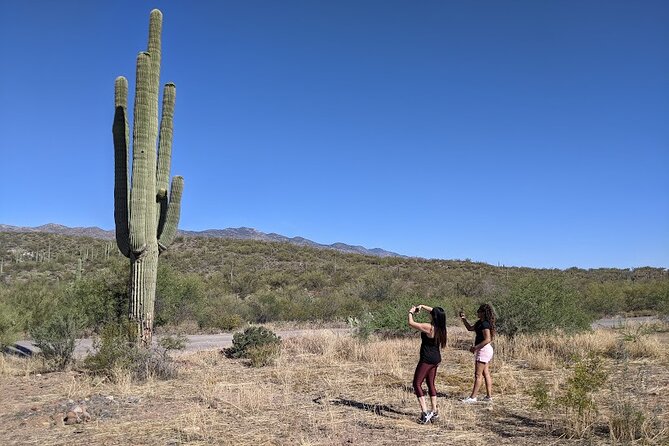 A Day In The Old West Adventure including Horseback Ride and Cowboy Lunch - Horses, Comfort, and Real-World Expectations