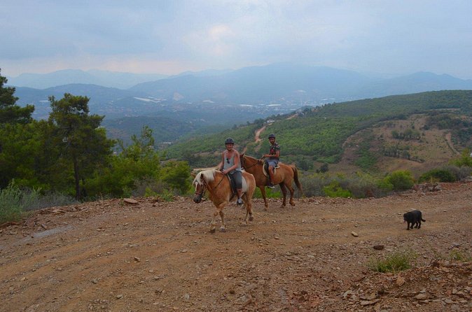 Alanya: Horseback Ride Through Nature near Syedra Ruins - The horse stories are part of the value, not just background
