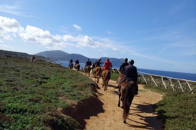 Alghero: horseback ride in Porto Ferro and Lake Baratz - Key highlights worth booking for