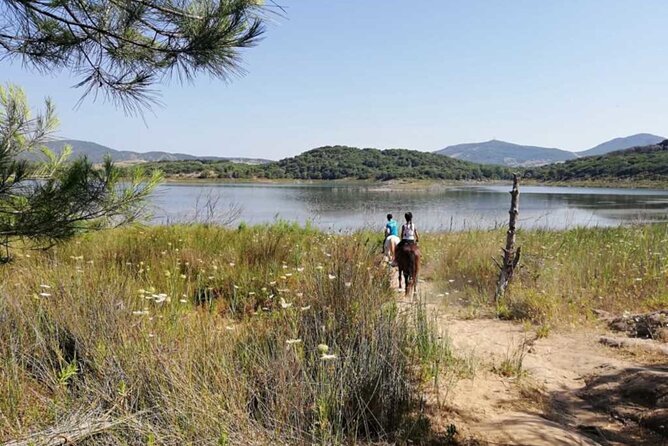 Alghero: horseback ride in Porto Ferro and Lake Baratz - The horses and the staff: why safety and support matter here