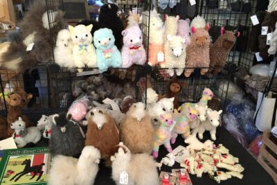Alpaca Ranch and Fiber Processing Mill Tour - What the 90 Minutes Feels Like on the Ground