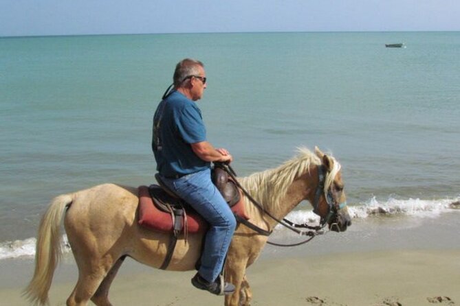 Amazing 3-Hour Horseback Riding at Puerto Plata with Pickup - At the Ranch: Safety Briefing and Horse Matching That Matter