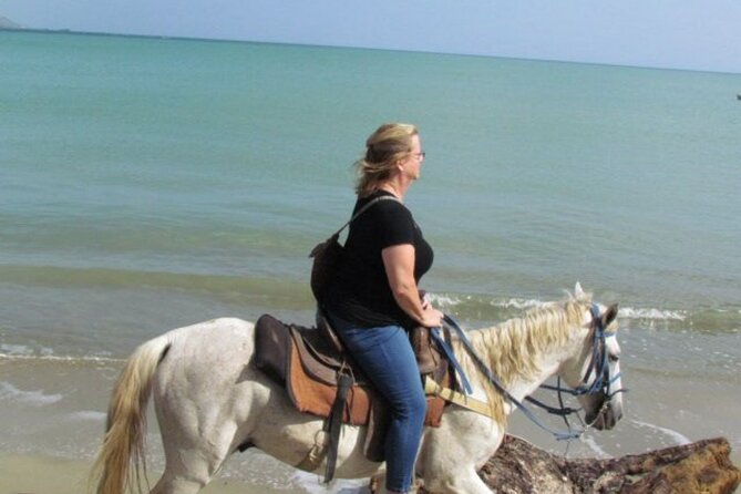 Amazing 3-Hour Horseback Riding at Puerto Plata with Pickup - Horse Care and Comfort: What You Should Look For