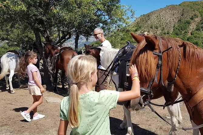 Amazing Horse Riding Experience at Vjosa National Park in Permet - Price and value: what $96.79 buys you in real terms