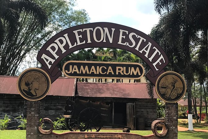 Appleton Rum Factory, YS Falls, and Reggae Horseback Ride & Swim Combo Tour - Key Highlights That Make This Combo Tour Different