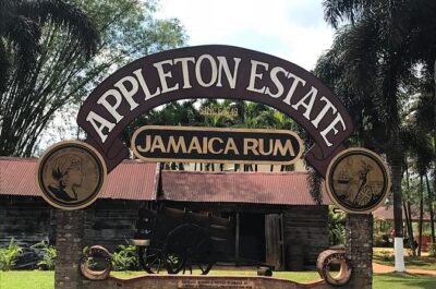 Appleton Rum Factory, YS Falls, and Reggae Horseback Ride & Swim Combo Tour - Price and What’s Actually Included (and What to Budget For)