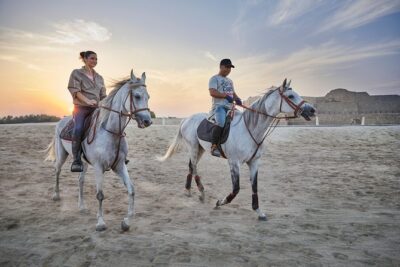 Arabian Sunset Horse Riding & Stable Tour - Why the 4:00 pm Arabian Sunset timing feels worth it