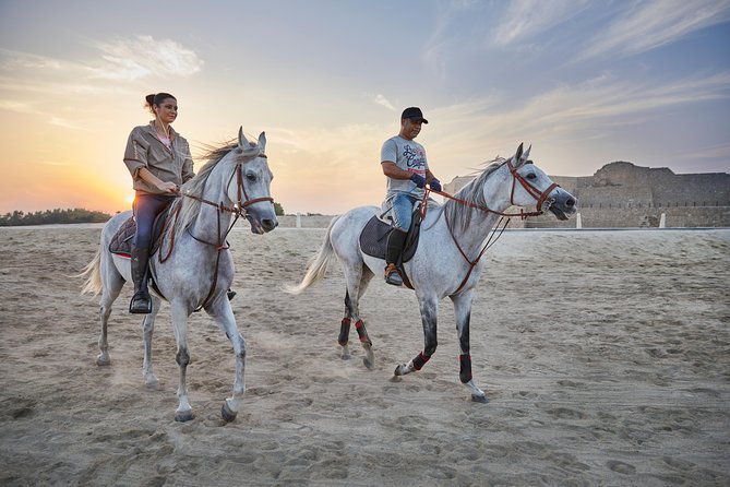 Arabian Sunset Horse Riding & Stable Tour - Why the 4:00 pm Arabian Sunset timing feels worth it