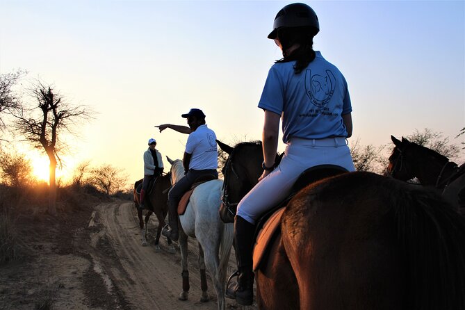 Aravali Trail Experience( Jungle Safari Forest area)- Horseback Riding - Aravalli Trail Ride Basics: what this $14 experience really is
