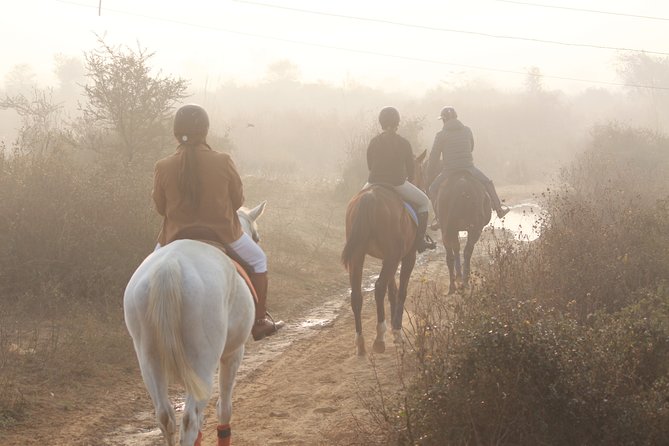 Aravali Trail Experience( Jungle Safari Forest area)- Horseback Riding - The Trail Experience: Aravalli hills, forest vibes, and wildlife surprises