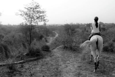 Aravali Trail Experience( Jungle Safari Forest area)- Horseback Riding - Private Lesson Setup: helmets, fitted horses, and real guidance