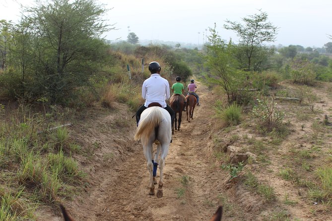 Aravali Trail Experience( Jungle Safari Forest area)- Horseback Riding - Who should book this ride (and who should skip it)