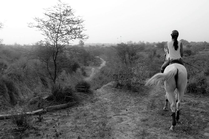 Aravali Trail Experience( Jungle Safari Forest area)- Horseback Riding - Private Lesson Setup: helmets, fitted horses, and real guidance
