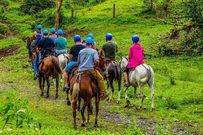 Arenal Canopy and Horseback Riding Adventure - What You’ll See: Arenal Views, Lava Trails, and Rainforest Plants