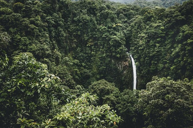 Arenal Horseback Riding to La Fortuna Waterfall - Key highlights worth your attention