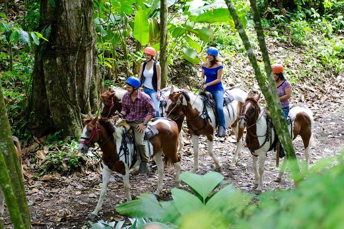 Arenal Volcano River Horseback Riding Tour - Horses on a private farm: what makes this tour special