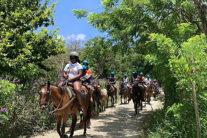ATV and Horse Riding in Puerto Plata / Shore Excursion & Hotel - Quick take before you book