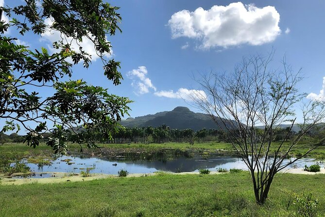 ATV and Horse Riding in Puerto Plata / Shore Excursion & Hotel - Price and value: does $124.99 make sense?