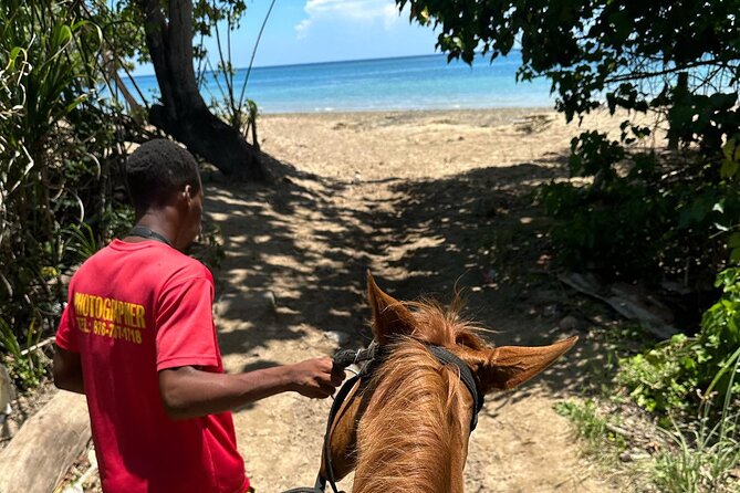 ATV, Bamboo Rafting, Horseback Ride From Montego Bay- Private - Drinks, WiFi, and the private transport advantage