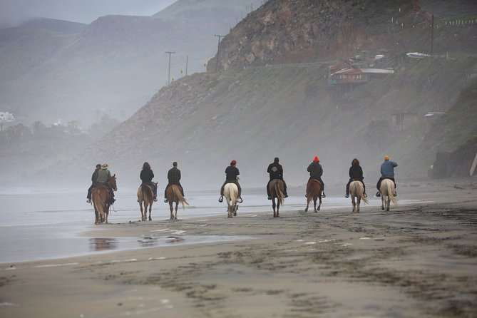 Authentic horseback riding in beautiful La Mision - Key points to know before you ride