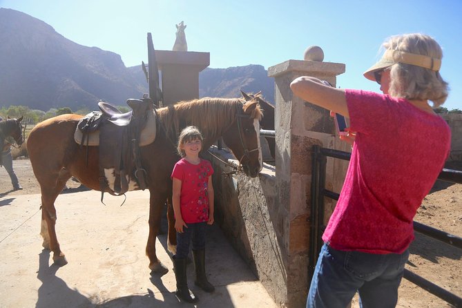 Authentic horseback riding in beautiful La Mision - The Ranch After the Ride: Animals, Taquito, and a Real Welcome Back