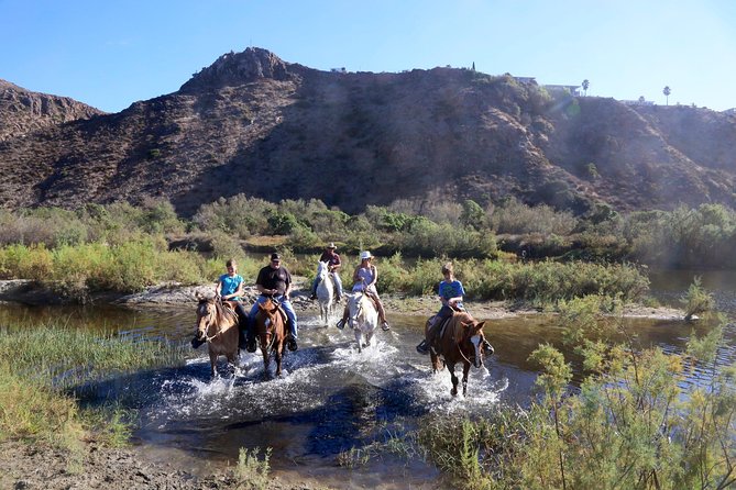 Authentic horseback riding in beautiful La Mision - Getting From the Cruise Dock: The Taxi Plan and Time Check