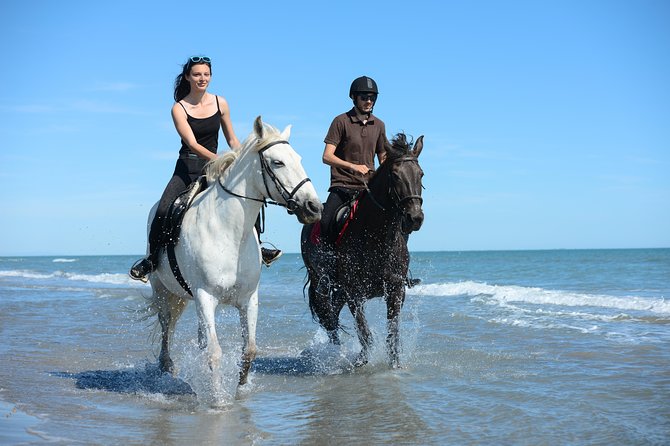 Awaken to Paros: A Scenic Morning Horseback Ride - Key things to know before you ride