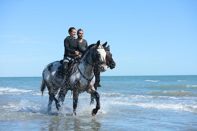Awaken to Paros: A Scenic Morning Horseback Ride - Why this 9:00am horseback ride beats the usual Paros rhythm