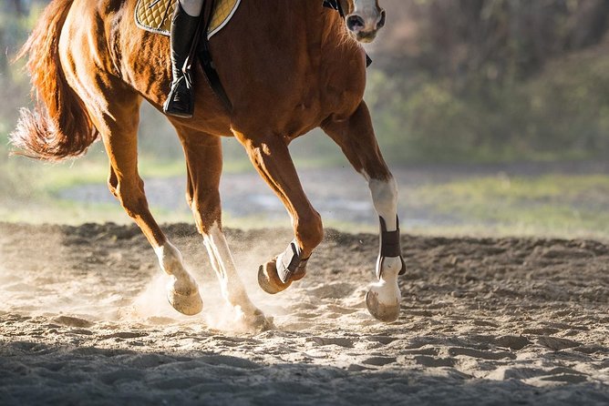 Awaken to Paros: A Scenic Morning Horseback Ride - Riding the Paros countryside trails: the views and the feel