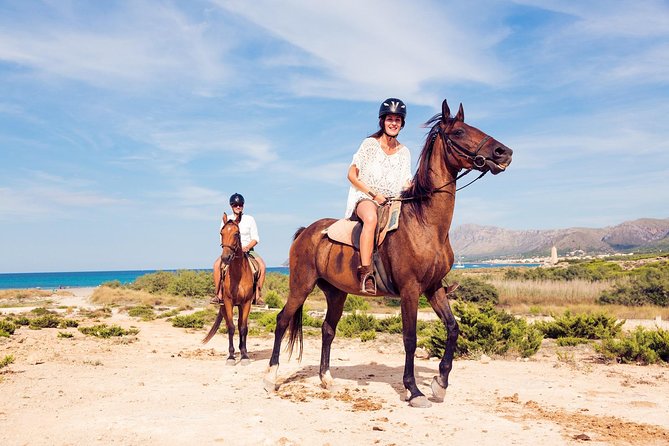 Awaken to Paros: A Scenic Morning Horseback Ride - The one-hour timing: how to plan your day around it