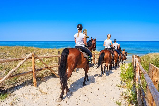 Awaken to Paros: A Scenic Morning Horseback Ride - Practical dress code and fitness notes that affect comfort