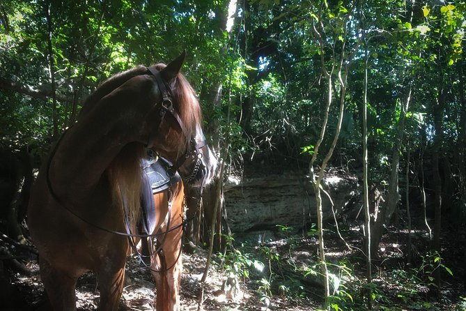 Award-winning Classic Horseback Ride (max. 6 riders) - What Makes Rancho Baaxal’s Classic Ride Worth $99