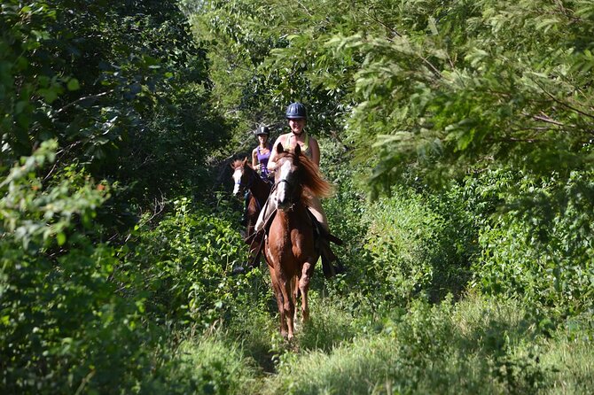 Award-winning Private Classic Horseback Ride - Choosing Morning vs Afternoon: What Changes