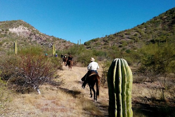 Baja Desert Horseback Riding Tour - Key highlights you’ll care about