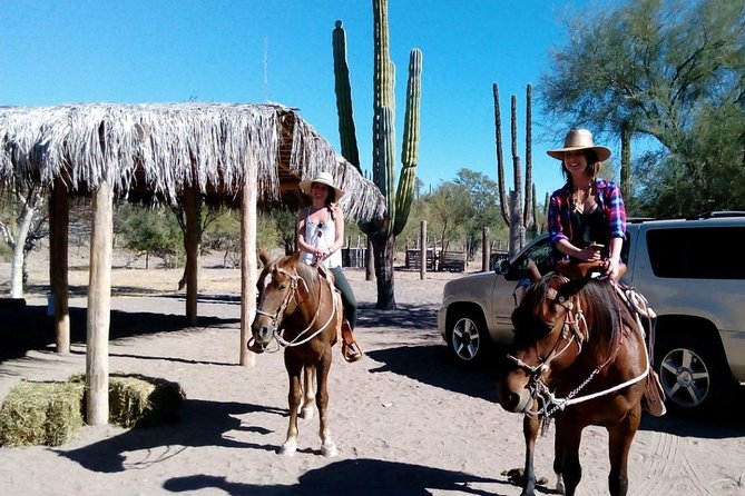 Baja Desert Horseback Riding Tour - Meeting the horses: short handling, then out on the trail