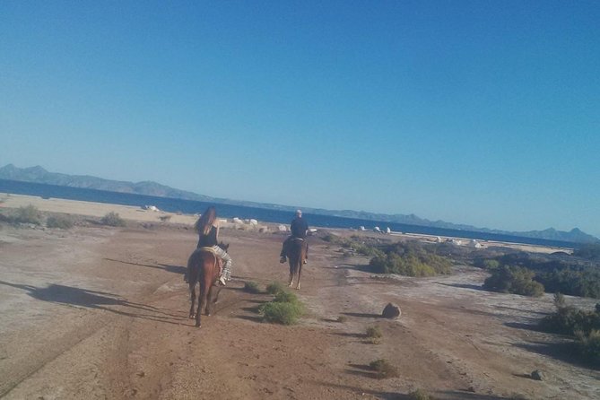 Baja Desert Horseback Riding Tour - The mid-ride break at Península Restaurant