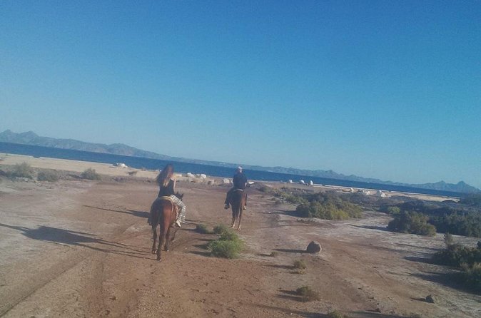 Baja Desert Horseback Riding Tour - Ending with handmade tortillas and local home flavors