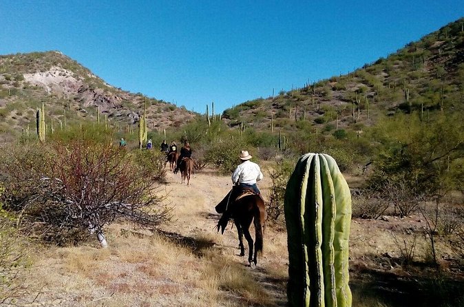 Baja Desert Horseback Riding Tour - Is $99 a good deal in Loreto?