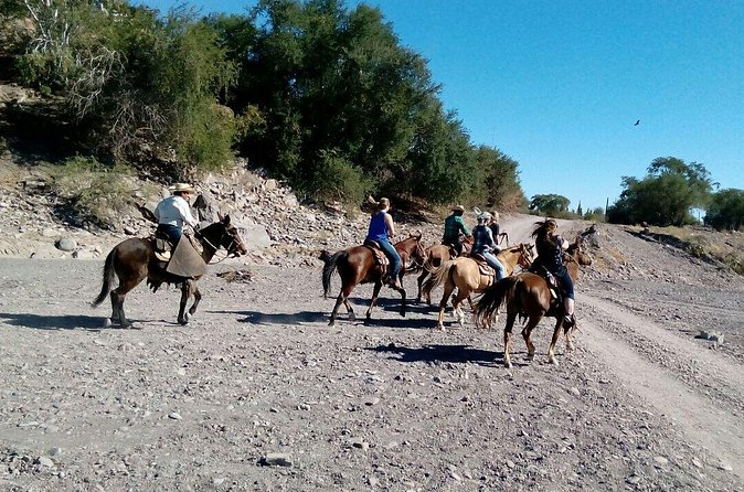 Baja Desert Horseback Riding Tour - Who should book this horseback tour