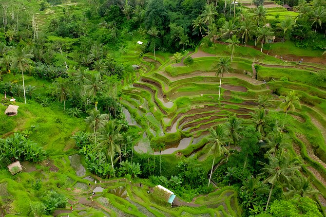 Bali Horse Riding Activity and Full-Day Trip in Ubud - Why this Saba Beach horse ride plus Ubud circuit works