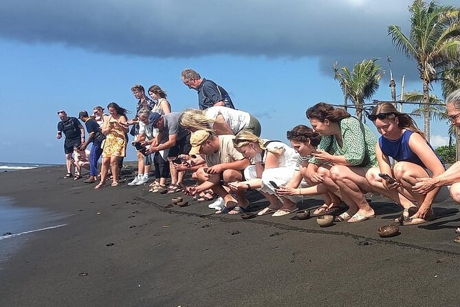 Bali Horse Riding and Turtle Release at Saba Beach - Turtle education at Saba Asri: the part that changes the whole day