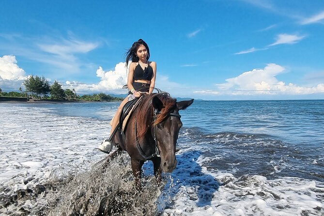 Bali Horse Riding and Turtle Release at Saba Beach - Who should book this tour (and who might want to think twice)