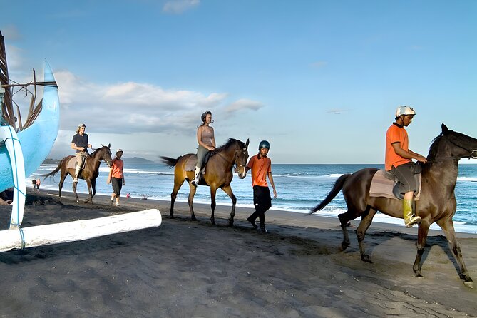 Bali Horse Riding in Saba Bay for 1 Hour with Pick Up Service - From pickup to saddle: what happens during your 1-hour experience