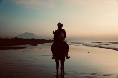 Bali Horse Riding Sanur Beach include Transport - Denpasar on the route: what the stop really adds