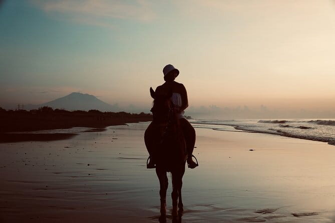 Bali Horse Riding Sanur Beach include Transport - Denpasar on the route: what the stop really adds