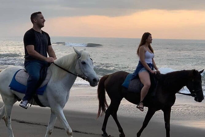 Bali Horse Riding Seminyak Beach Experience Private Transport - Key Highlights to Know Before You Go