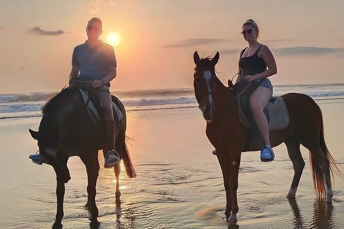 Bali Horse Riding Seminyak Beach Experience Private Transport - From Mesari Stables to the Waterline