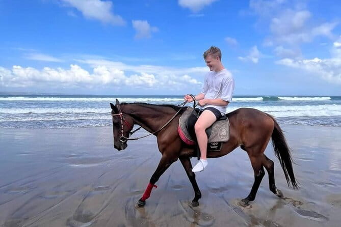 Bali Horse Riding Seminyak Beach Experience Private Transport - Price and Value: Is $39.80 Reasonable Here?